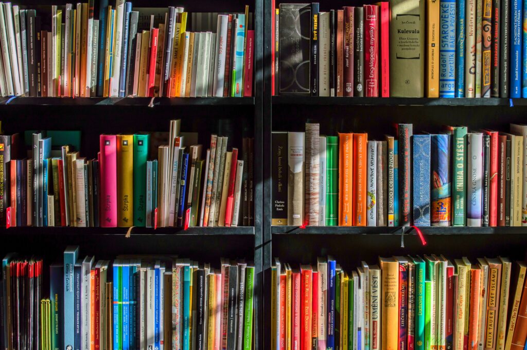 Book Shelf with lots of books