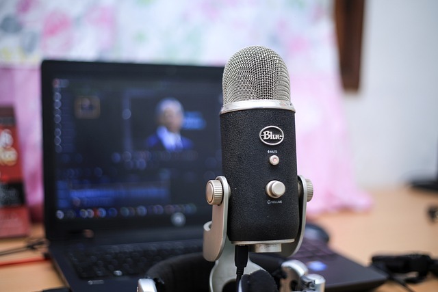 Blue yeti microphone